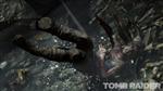   Tomb Raider (2013) Survival Edition (MULTi13) [R.G. Origami]